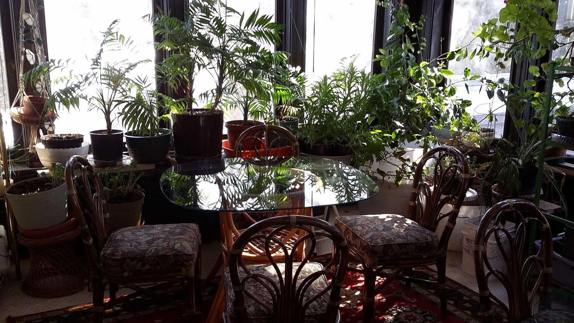 Chestnut Charm Bed & Breakfast Атлантик  Екстер'єр фото